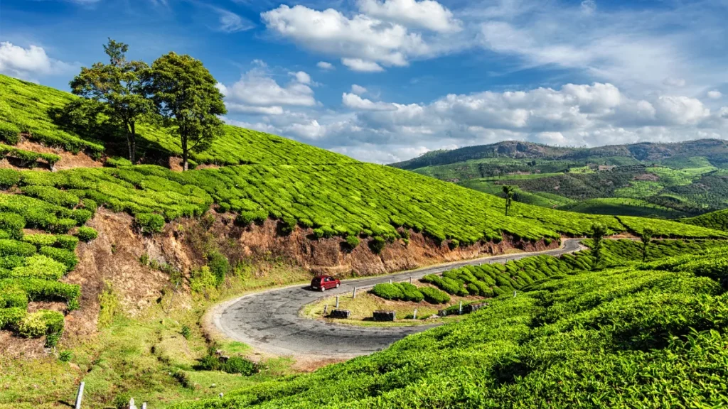 Munnar Tourism