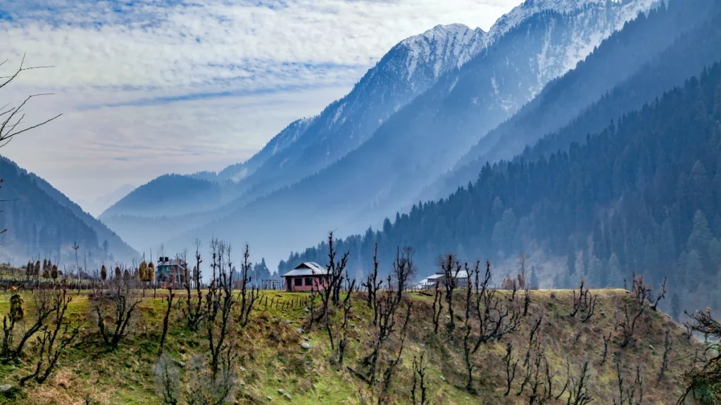 Aru Valley