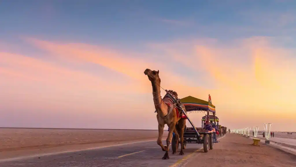 Rann of Kutch Festival 2024